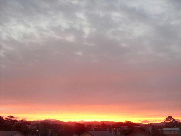 Frenie Perlas;Waitakere on Fire; Waitakere Ranges set on fire