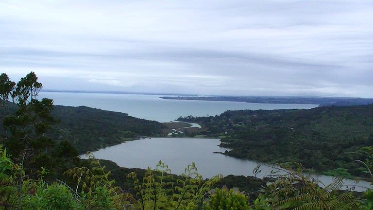 Helen Wong; Manukau Harbour from Waitakeres; Green bush and blue sea