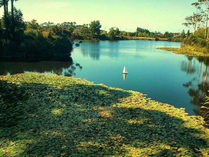 Lawrence Tan;Toy Sail in Lake Panorama; The toy motorized sail we spotted in lake panorama