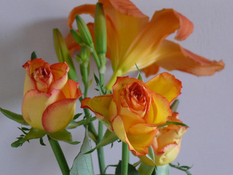Stuart Weekes;Orange Peach Rose and Lily; taken at home soon after Valentine's Day