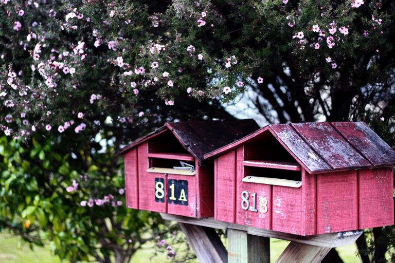 Supreet; Mailboxes; This picture was taken in Papatoetoe. The similar colored flowers surrounding the pretty mailboxes caught my eye. Both form a scene in perfect harmony and rest like men after a long day of work.