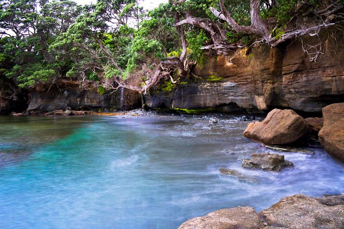 Susan Blick;Spiritual Bay, Goat Island Marine Reserve; Beaches of Auckland