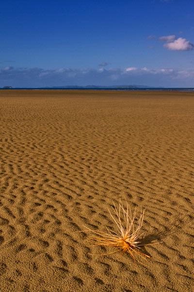 Susan Blick;Endless to the Sea, Orewa; Beaches of Auckland