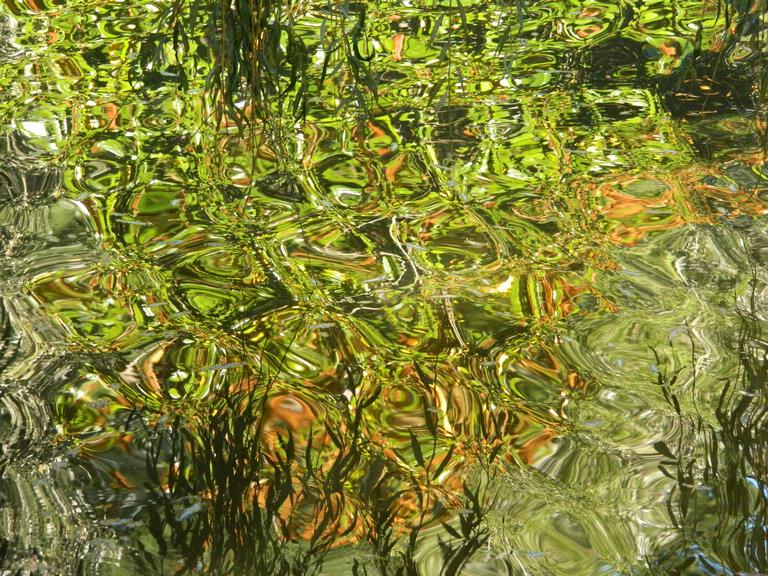 Fleur Vonlanthen; Water design; Afternoon light on lake at Puhoi cafe