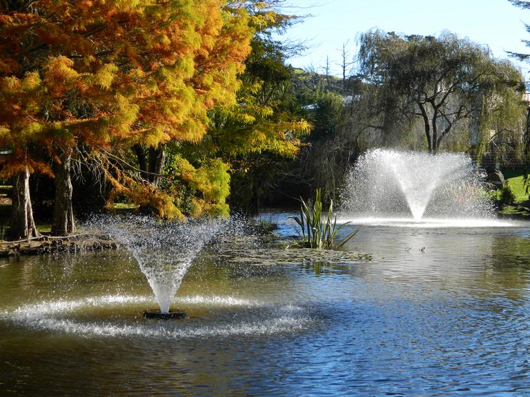 Fleur Vonlanthen; Fountains; Lake at Puhoi Cheese cafe