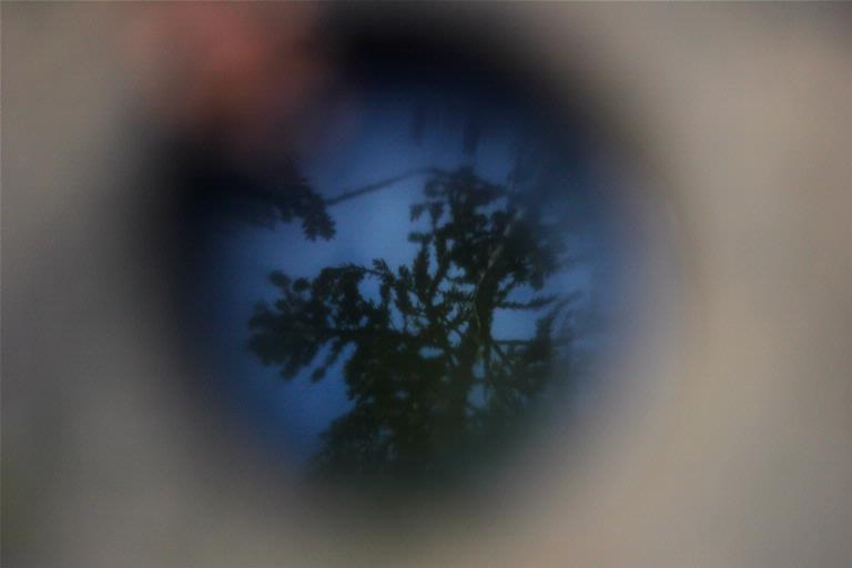 Geraldine Healy; Picture in a puddle; Warkworth Falls Rd
