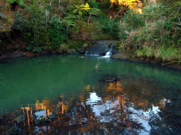John McKillop; The Cascades; It is fresh water above the falls, and salt water below. The falls almost disappear when it is high tide at the headwaters of the Pakuranga Creek.