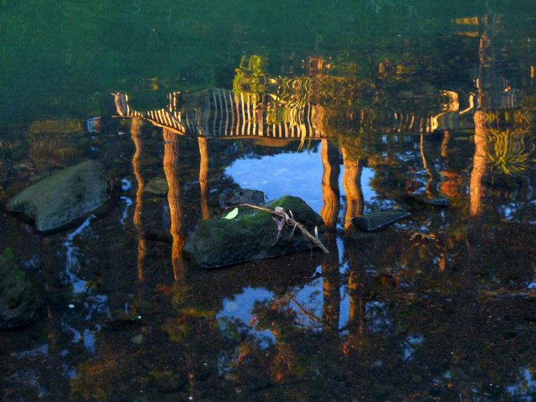 John McKillop; Cascades Reflection 01; Reflection in the pool at the headwaters of the Pakuranga Creek.