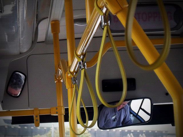 Francesca Gallo; Bus Handles