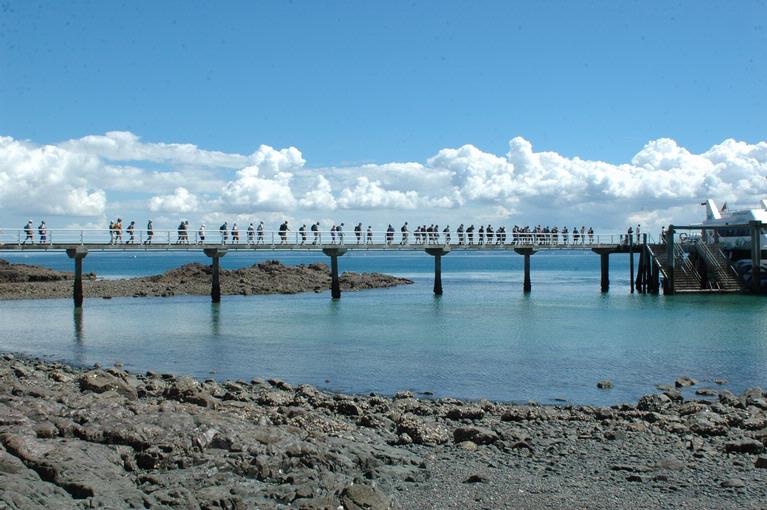 colin lunt; Homeward Bound; After a beautiful day on Tiritiri the lemmings return!