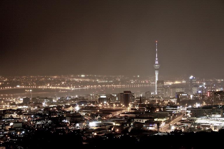 Adrian McBirney; Cityscape; Auckland City from Mt Eden