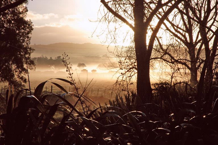 COLIN LUNT; 6am; A beautiful morning in Kaukapakapa