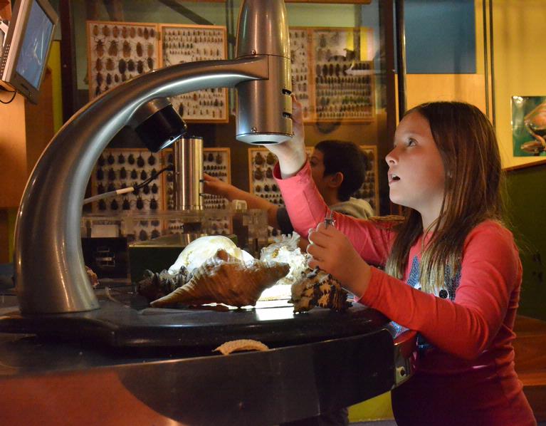 COLIN LUNT;Discovery;The amazing hands on kids' room at Auckland Museum