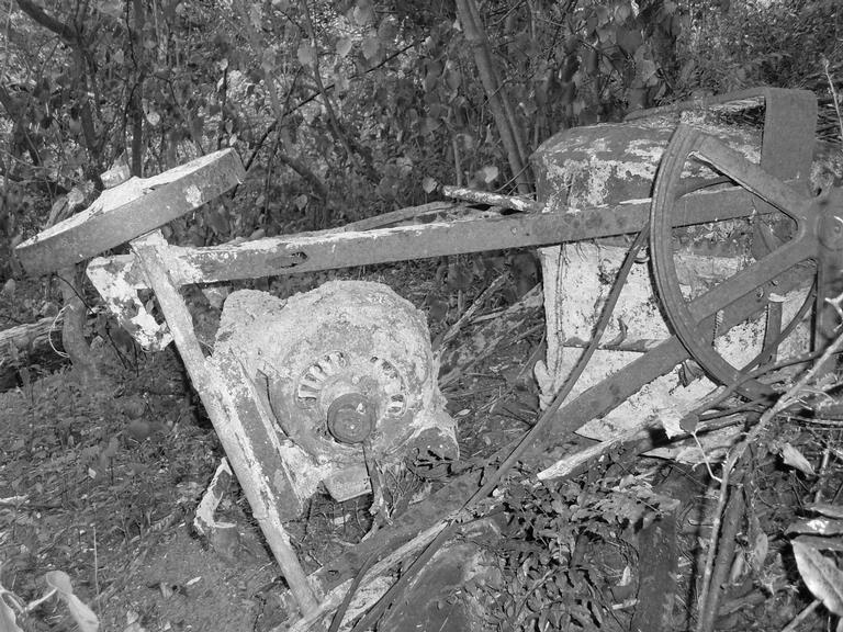 Carol Hall; Abandoned waste; Tuff Crater, Northcote