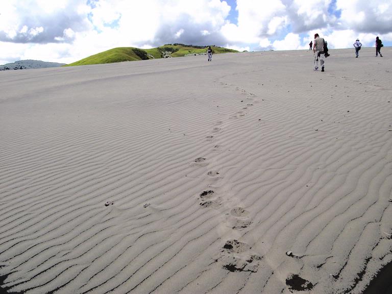 Young Chul Park; Pilgrims; Bethells Beach