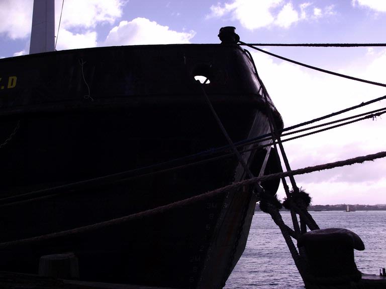 Young Chul Park; Reins; Auckland Port