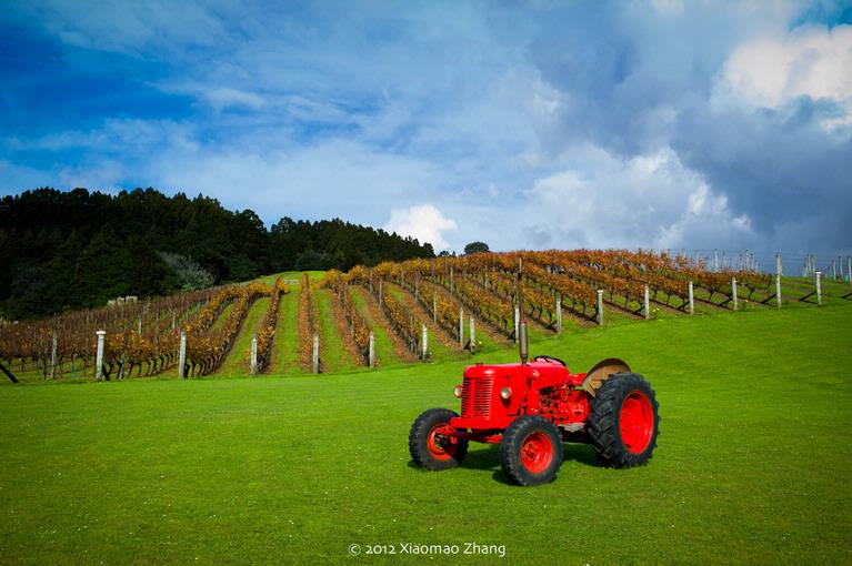 lu zhang;tractor; Taken in a wine shop in Manataka.