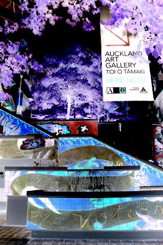 susanne Wichmann;Auckland City