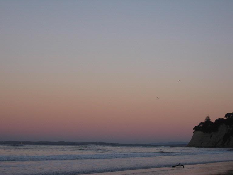 Brigette Shutkowski;Sunrise Longbay