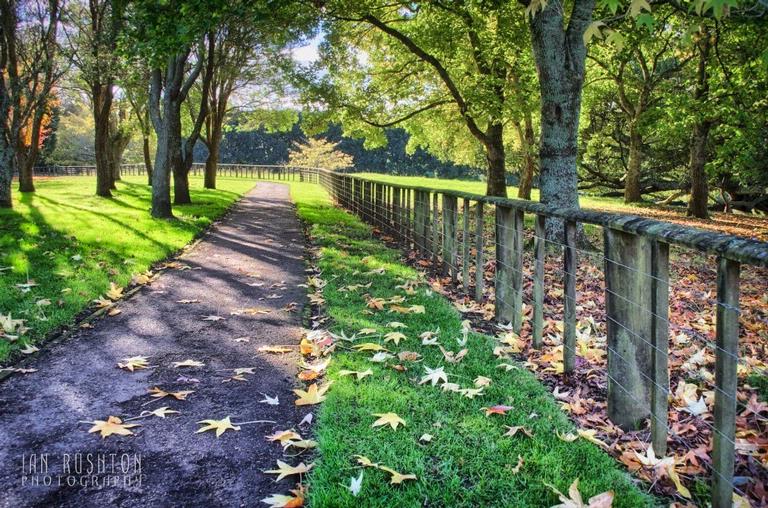 Ian Rushton;Auckland Autumn 3