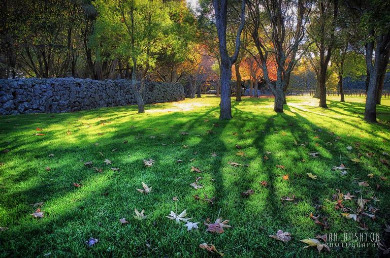 Ian Rushton;Auckland Autumn 1