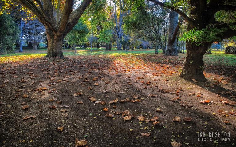 Ian Rushton;Auckland Autumn 2