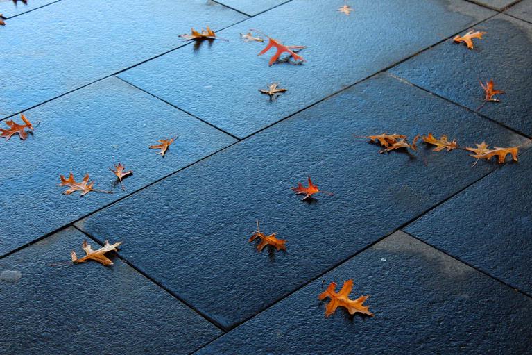 John McKillop;Queen St Pavement;Shot between pedestrians and between showers.