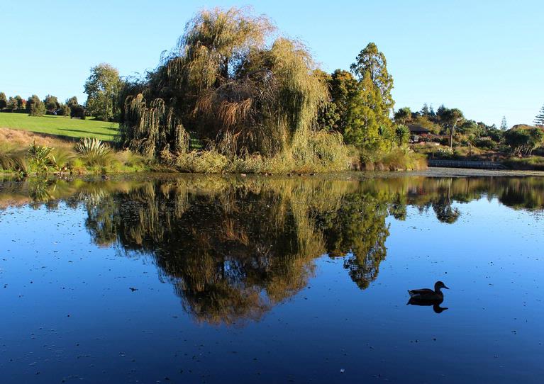 John McKillop;Botanic Gardens Reflections;13 May, 2013