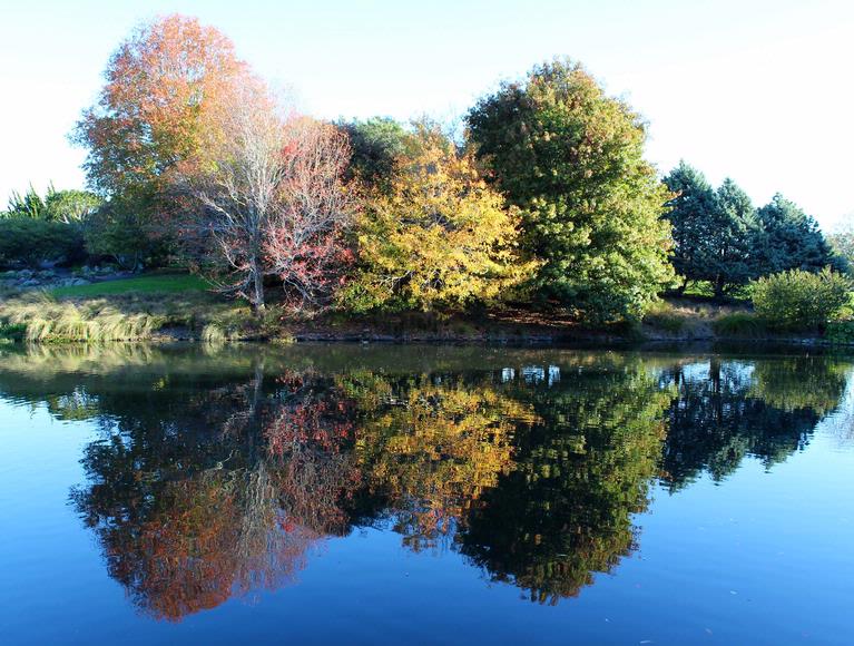 John McKillop;Botanic Gardens Reflections;13 May, 2013