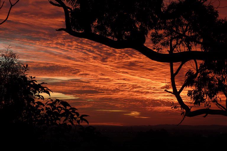 kez;sunsetting behind hobsonville