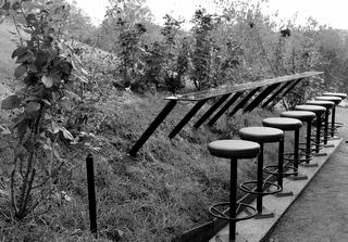 susanne wichmann; Waiheke;winery