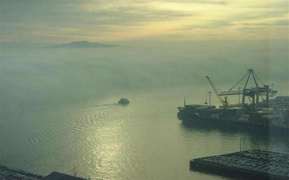 Gael Orr;Early Morning Fog;Taken from the PWC Building