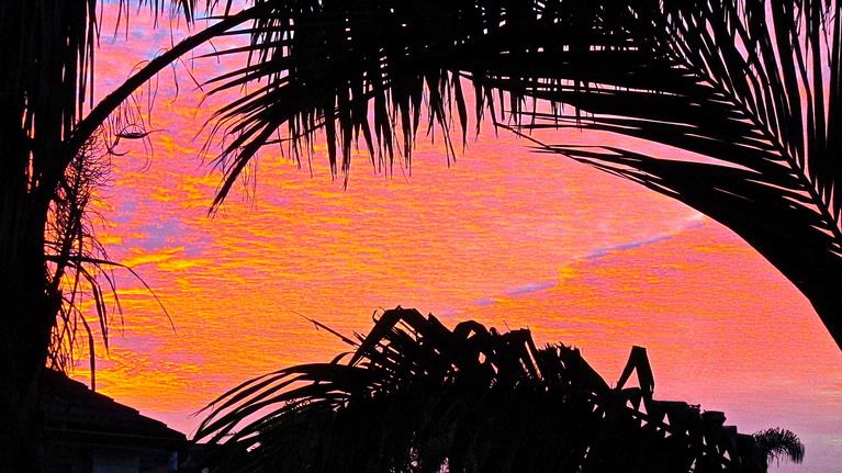 JERRY ZINN.;SUNRISE SILHOUETTE.;BEFORE THE STORM.
