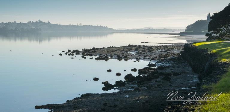 John Ling;Tamaki River_Pakuranga Morning2
