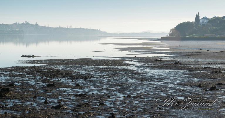 John Ling;Tamaki River_Pakuranga Morning
