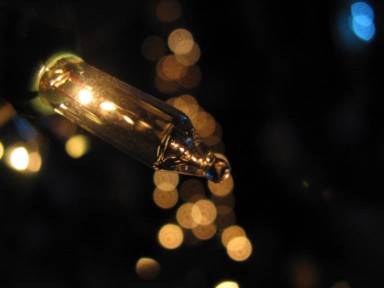 Gabrielle Carikas;Firefly;Winter nights, Twinkle Lights, Fireflies.