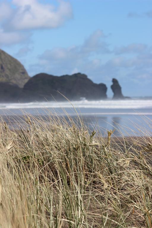 Leigh Burrell;Thunderous surf;Piha