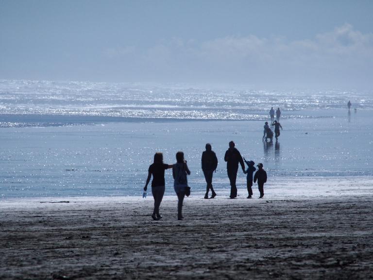 Liz Gordon; Sunday afternoon at Muriwai Beach; 7 September 2014