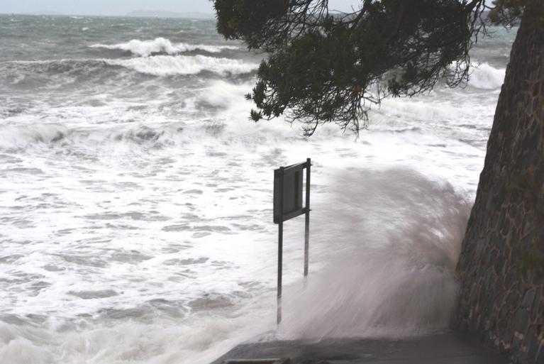 Sam;Waves create surf;Takapuna