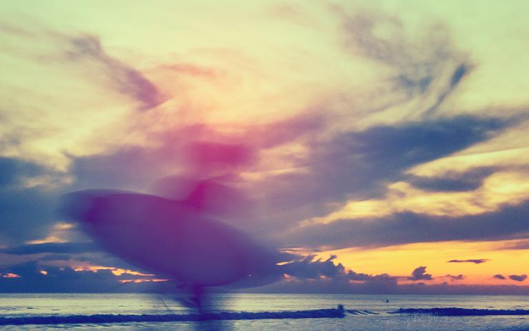 Samantha Milne;Ghost surfer;I was taking shots of the sunset and this surfer ran across, I love how it looks like a ghost surfer coming down to surf Piha.