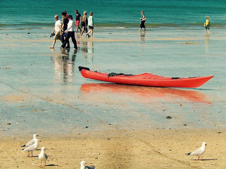 JD; Takapuna Beach; Hot day, walkers, kayaks and gulls