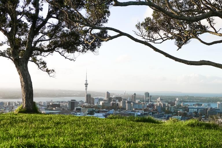 Chad Konik; Mt Eden