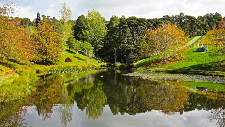 JERRY ZINN; BRICK BAY WINERY; LOVELY REFLECTIONS.