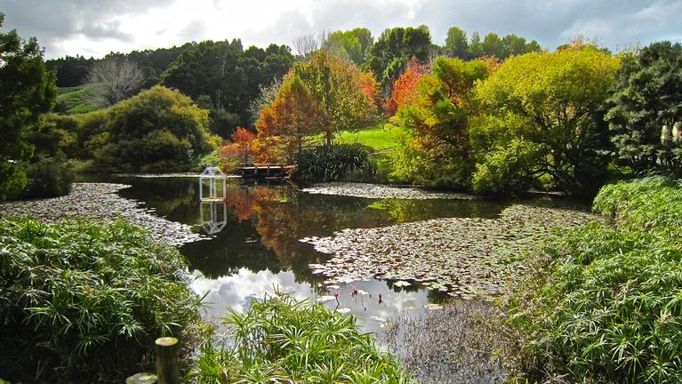 JERRY ZINN; BRICK BAY WINERY; LOVELY REFLECTIONS.
