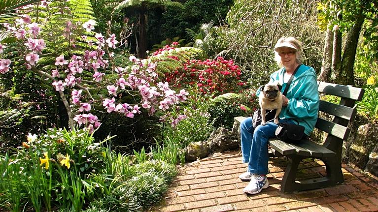 JERRY ZINN; EDEN GARDENS; SPRING  IN THE AIR.