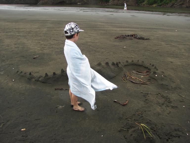 Linda Gomas; Washed up on Bethells