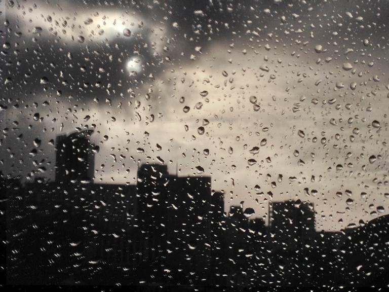 Paul Craze; Wet Auckland
