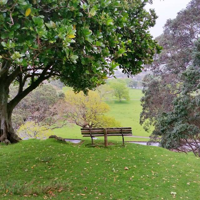 Thekra; Auckland Domain