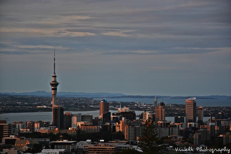 Vinel V Kumar; Auckland.