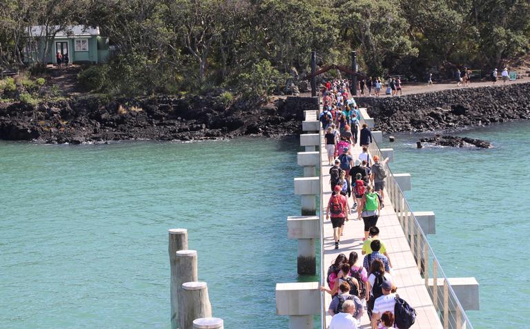susanne wichmann;Rangitoto;a Auckland Day